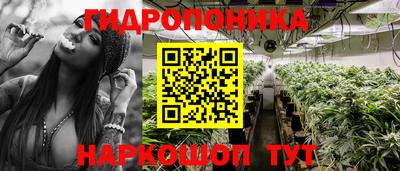 индика Шелехов
