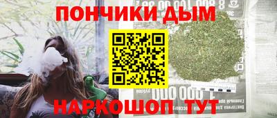 индика Шелехов