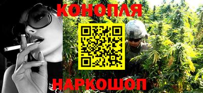 индика Шелехов