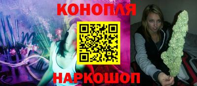 индика Шелехов