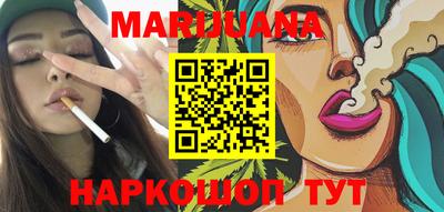 индика Шелехов