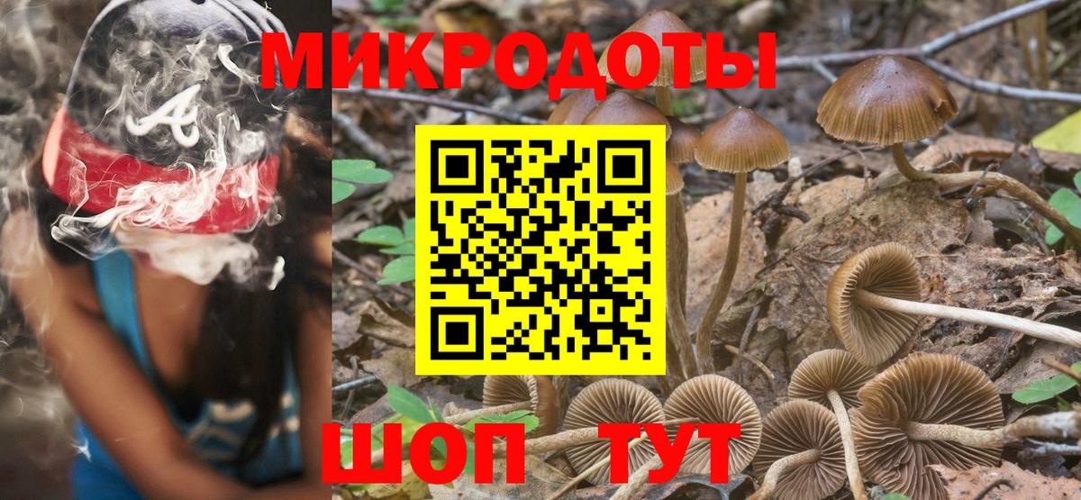 Псилоцибиновые грибы GOLDEN TEACHER  Вход с VPN  Алексин  Псилоцибиновые грибы GOLDEN TEACHER 